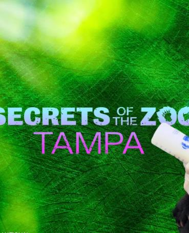动物园秘辛：坦帕湾第四季