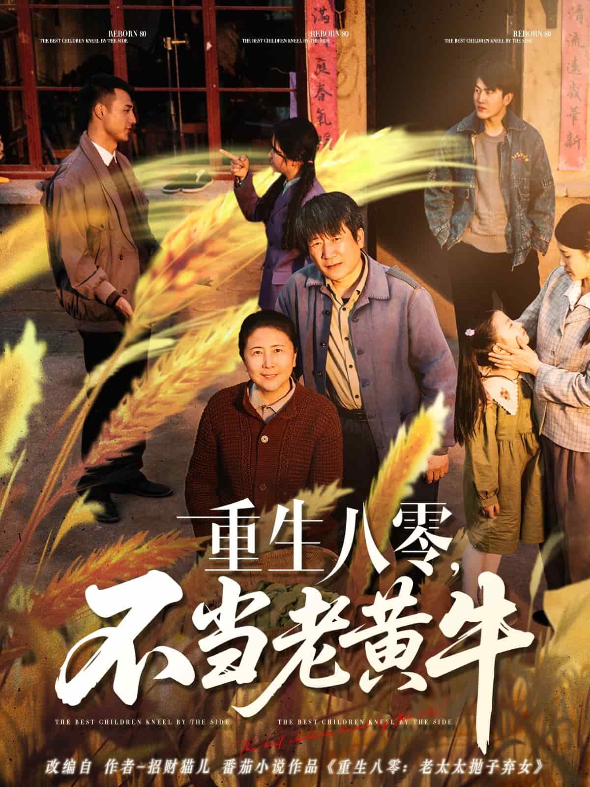 重生八零，不当老黄牛